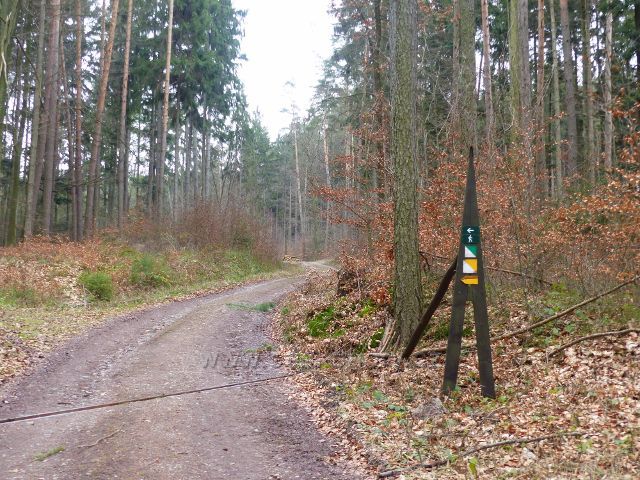 Potštejn - značení jednotlivých tras NS Velešov