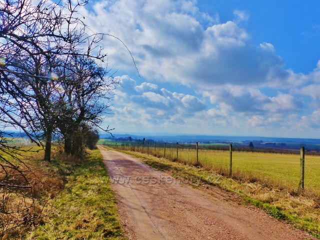 Homol - trasa NS Mezi Orlicemi k Zádolčí