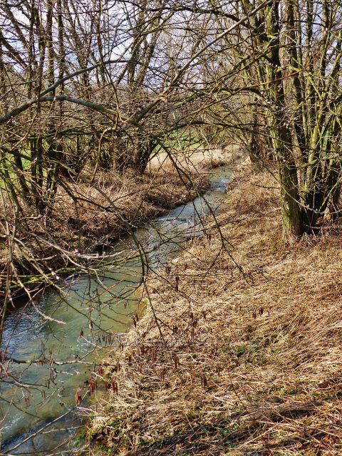 Malá Lhota - potok Brodec