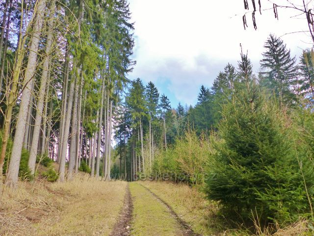 Velká Lhota - cesta po modré TZ do Potštejna