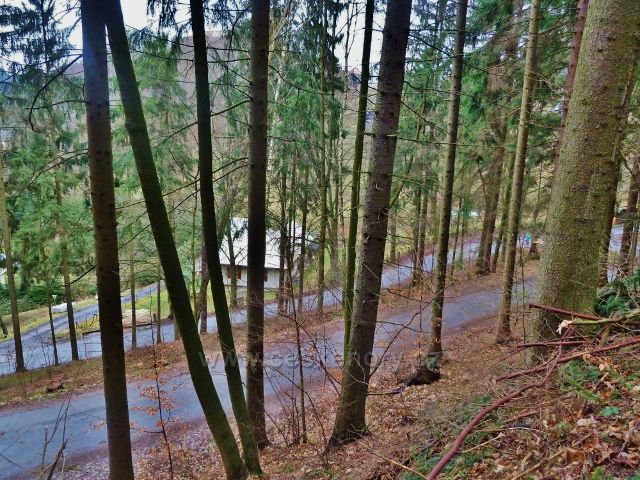 Lanšperk - zatáčky nad hájovnou