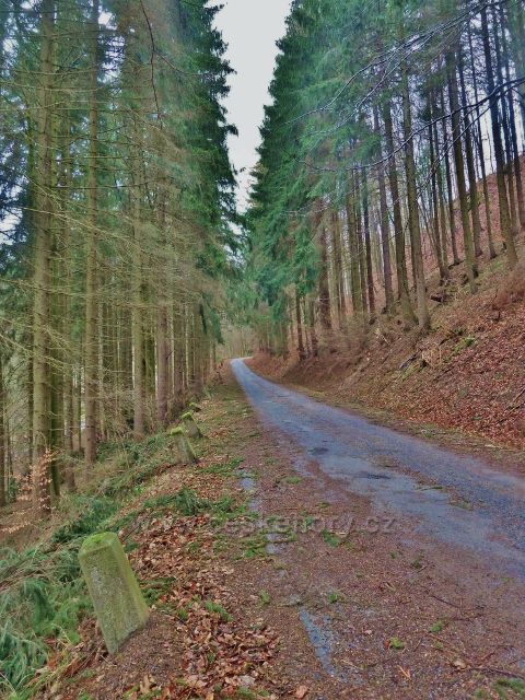 Lanšperk - podél lanšperské silnice ještě najdeme klasické patníky