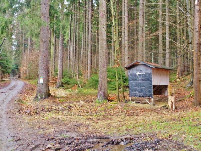 Vadětín - krmelec na rozcestí cyklostezky a trasy po zelené TZ