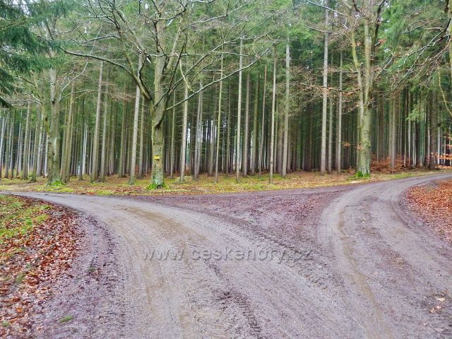 Vadětín - rozcestí s bodem záchrany UO038
