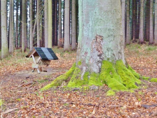 Vadětín - krmeleček u cyklostezky do Sejfů