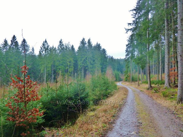 Vadětín - cesta k hornímu konci Sejfů po níž vede cyklostezka
