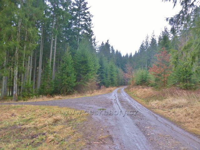 Vadětín - křižovatka s trasou po žluté TZ údolím Sejfů