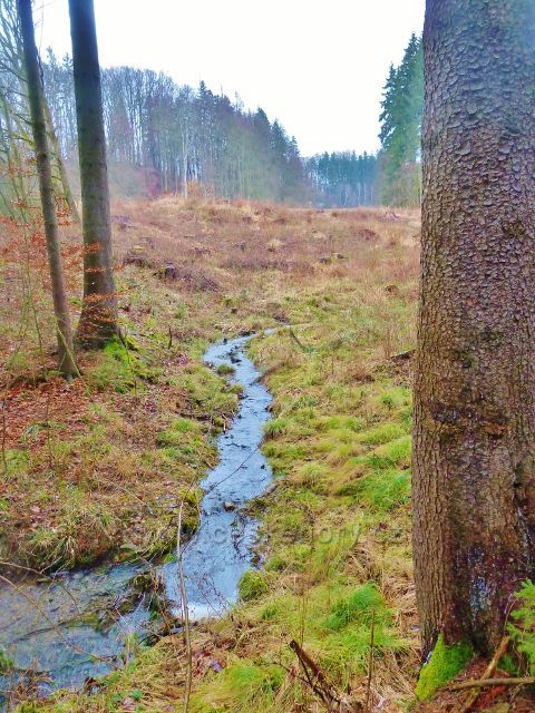Vadětín - potok v Sejfech