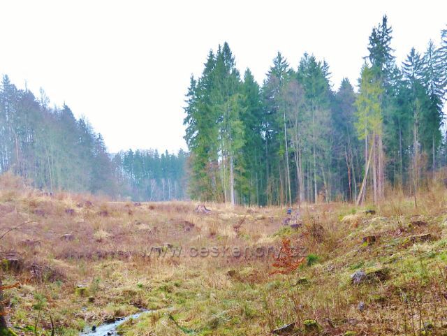 Vadětín - paseka po vytěžení kalamitního dřeva v Sejfech