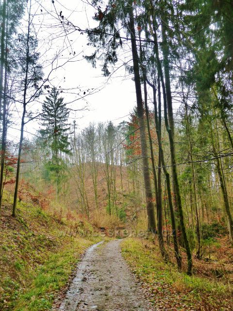 Vadětín - cesta po žluté TZ Údolím Sejfů