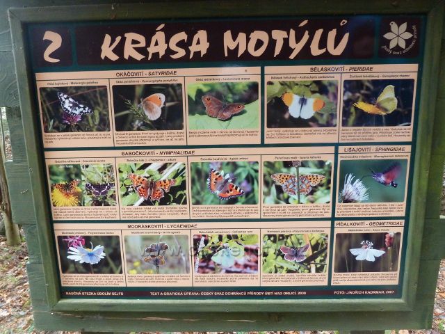 Vadětín - panel 2. zastavení NS Údolí Sejfů pojednává o motýlech v dané oblasti