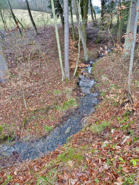Vadětín - potok v Sejfech