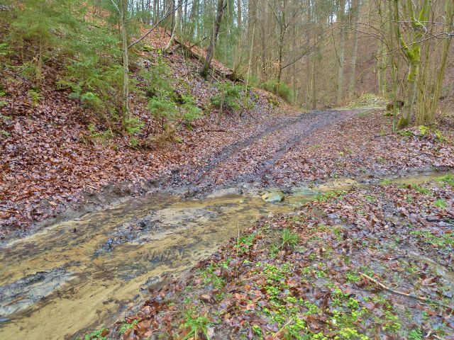 Vadětín - potok se v dolní části Údolí Sejfů několikrát rozlévá po cestě