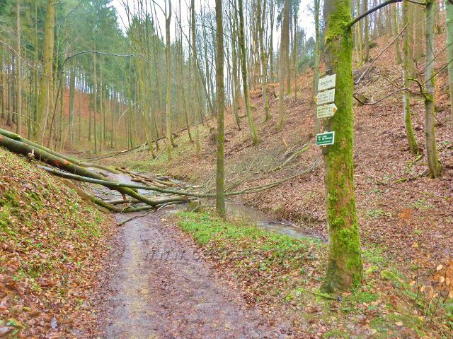 Vadětín - turistický rozcestník "Údolí Sejfů 355 m.n.m."