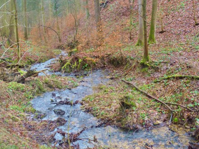 Vadětín - potok v dolní části Údolí Sejfů