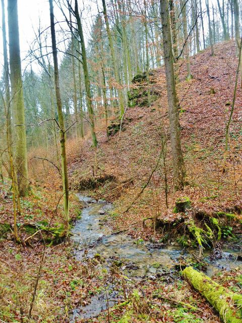 Vadětín - potok v dolní části Údolí Sejfů