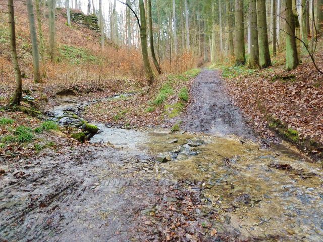 Hutvald - potok na okraji Údolí Sejfů několikrát křižuje cestu po žluté TZ
