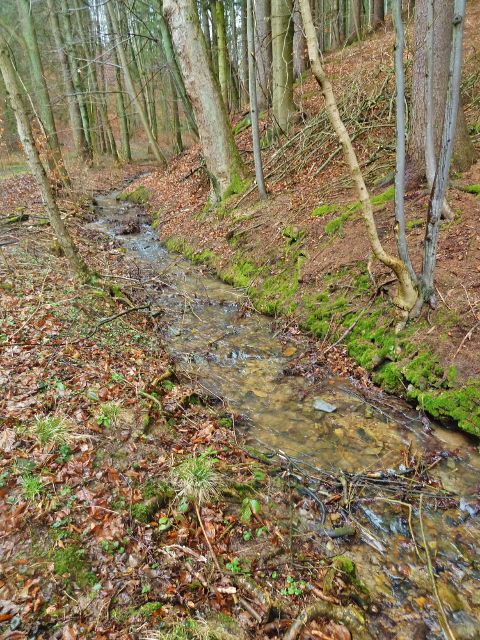 Hutvald - potok na okraji Údolí Sejfů