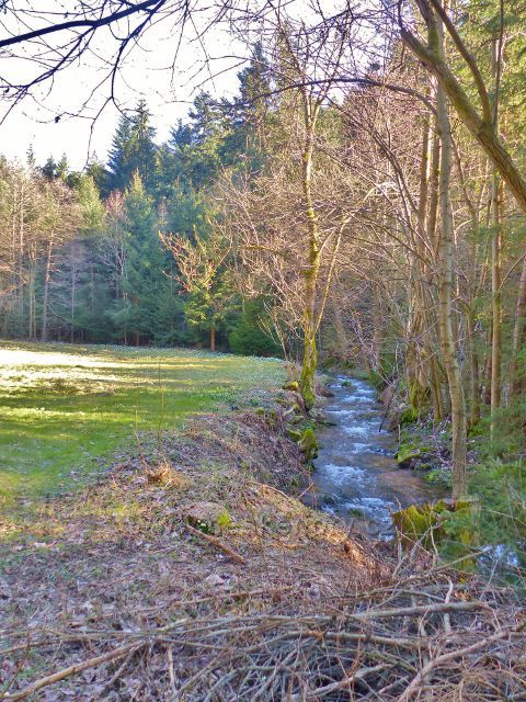 PP Čenkovička - potok Bystřewc