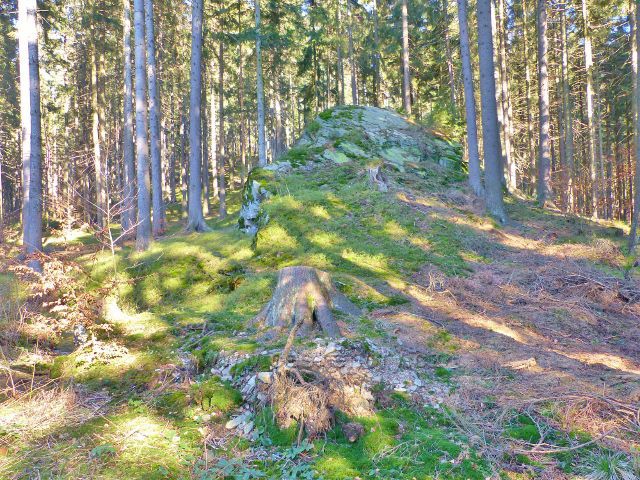 PP Čenkovička - skalní výchoz nad pravostranným přítokem potoka Bystřec
