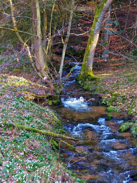 PP Čenkovička - potok Bystřec