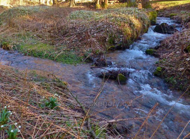 PP Čenkoviška - levostranný přítok potoku Bystřec pod Hamačkou