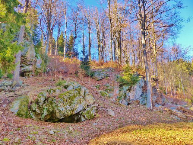 PP Čenkovička - skalní výchoz nad Hamačkou