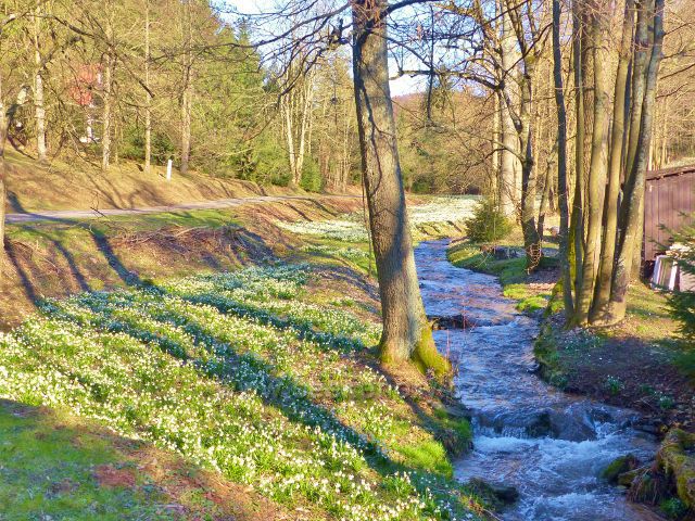 PP Čenkovička - horní část údolí potoka Bystřec