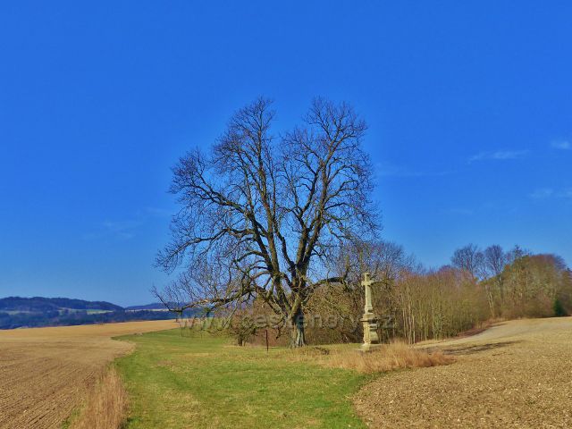 Žamberk - jírovec a pomník "U pěti ran"