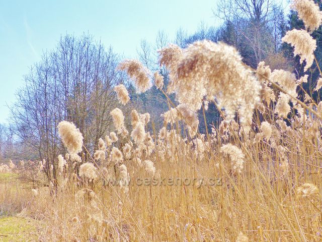 Helvíkovice - Přírodní park Orlice