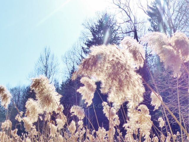 Helvíkovice - Přírodní park Orlice