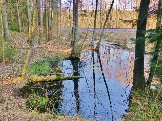 Bohousová - jezírko u kolejí pod cestou od Popluží