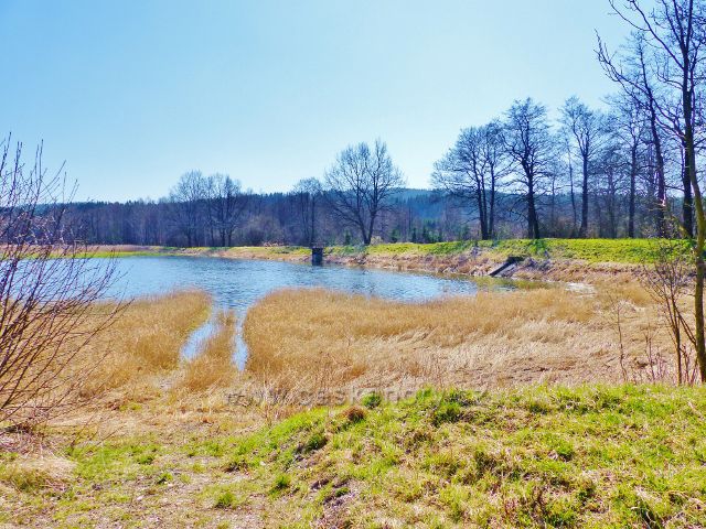 Helvíkovický rybník