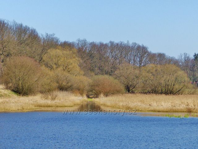 Helvíkovický rybník