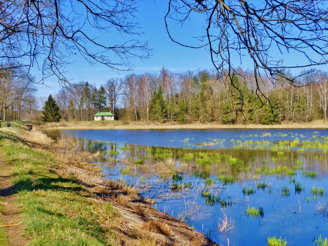Pohled k domku u Helvíkovického rybníku
