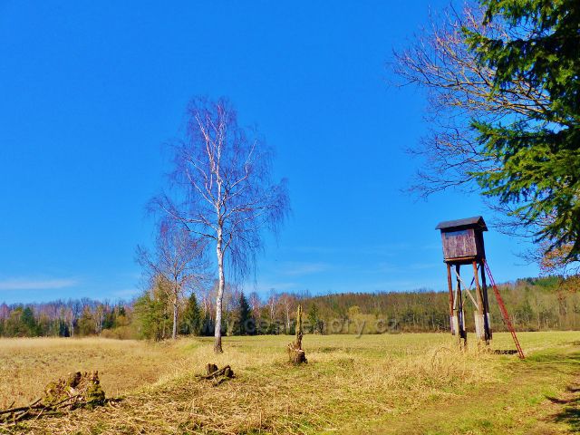 Posed na břehu Helvíkovického rybníka umožňuje kontrolu nad převážnou plochou rákosí