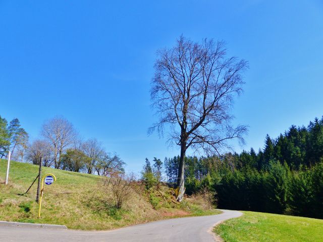 Dlouhoňovice -cyklostezka do Písečné