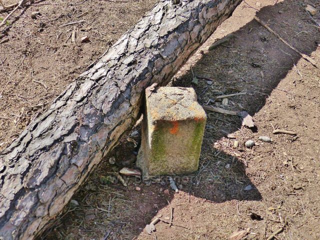 Písečná - vrcholový mezník na podvojném vrcholu kopce Na Vrších