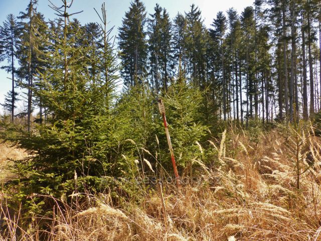 Helvíkovice - vrchol Homole(409 m.n.m.)