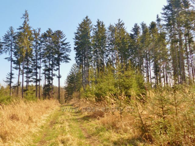 Helvíkovice - na plochý vrchol Homole vede cesta
