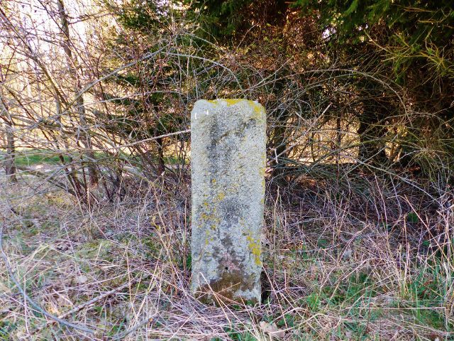 Starý mezník na rozhraní lesa a pole u cesty k vrchu Hůrka u České Rybné