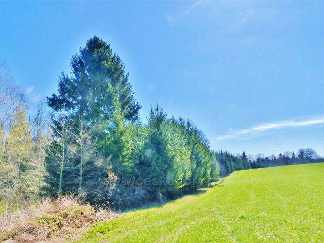 Pohled z polní cesty k vrchu Hůrka k hraničnímu mezníku