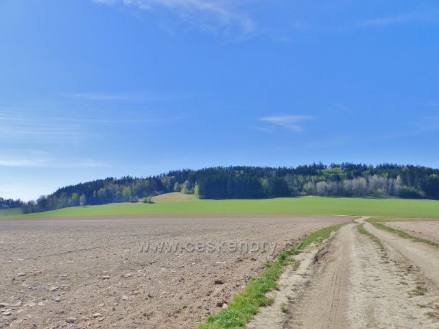 Pohled z polní cesty pod Hůrkou na hřeben vrchu Hůrka