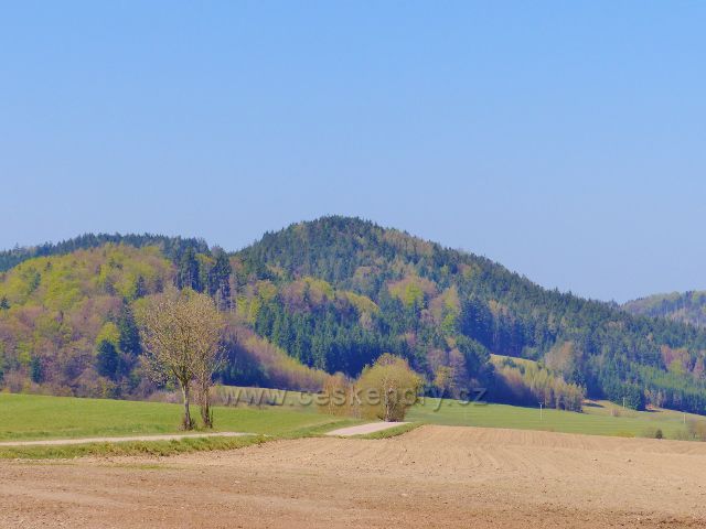 Pohled na Kletnou. V popředí je cesta z Bohousové do České Rybné
