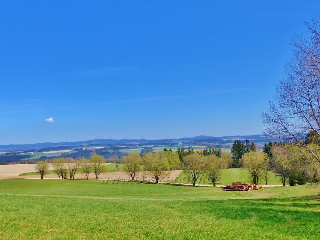Pohled z úbočí Hůrky na cestu z Bohousové do České Rybné