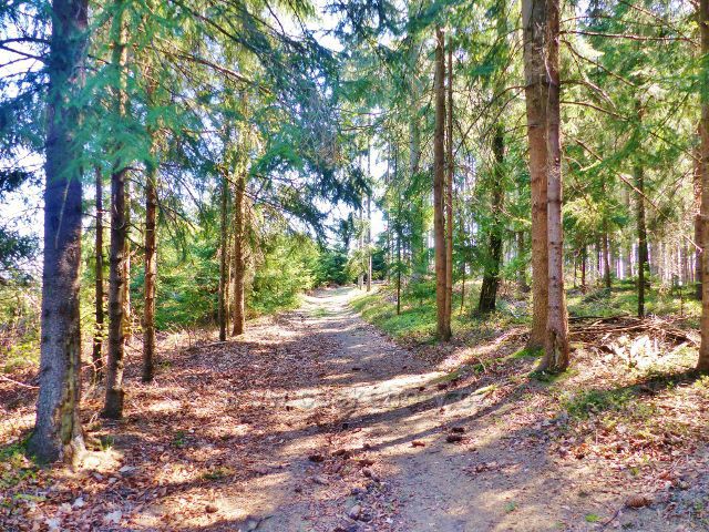 Hřebenová cesta po Hůrce u České Rybné