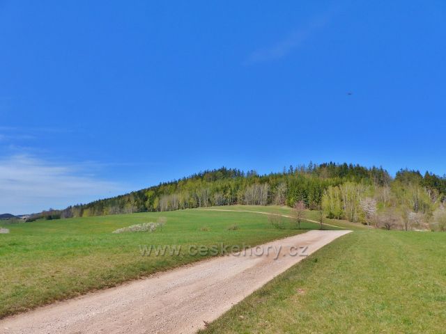 Česká Rybná - cesta od Bohousové. V pozadí vrch Hůrka u České Rybné