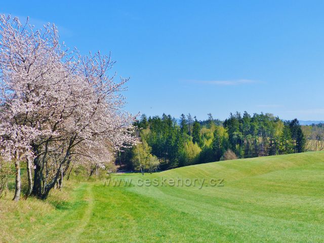 Česká rybná - horní část "Mokré louky"