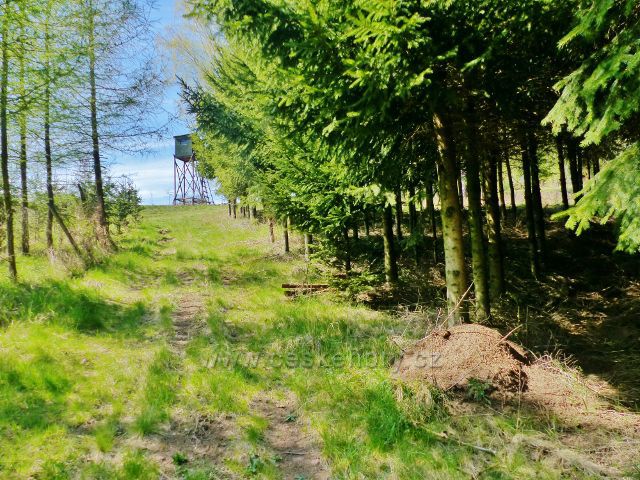 Česká Rybná - cesta na úpatí vrchu Přím s mraveništěm i posedem na okraji lesa