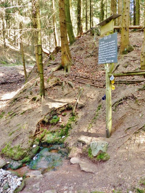 Dlouhoňovice - Žampašská studánka
